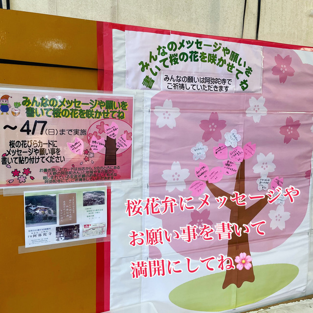 桜イベント1