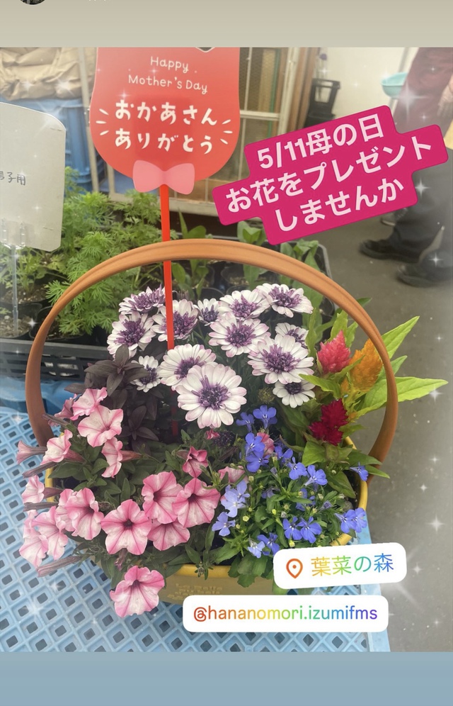 母の日