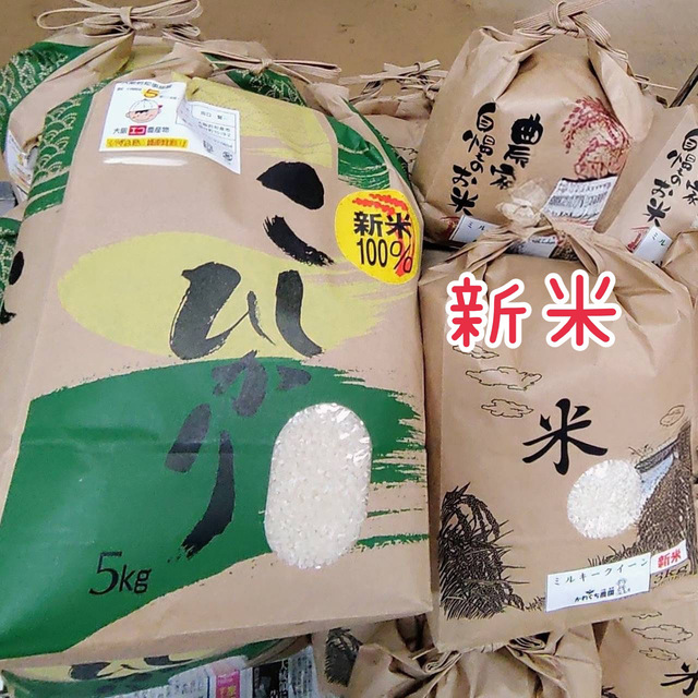 地元産コシヒカリ