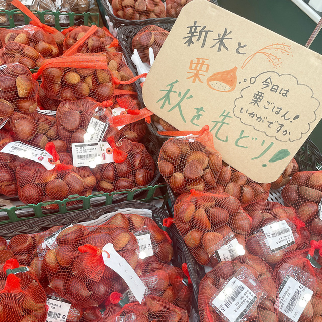 栗