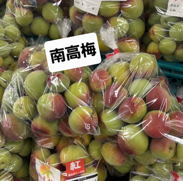 南高梅