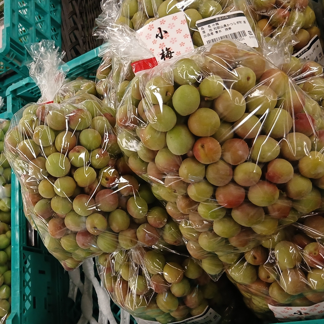 小梅