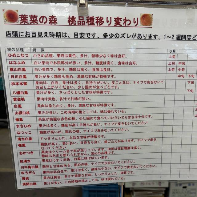 桃2