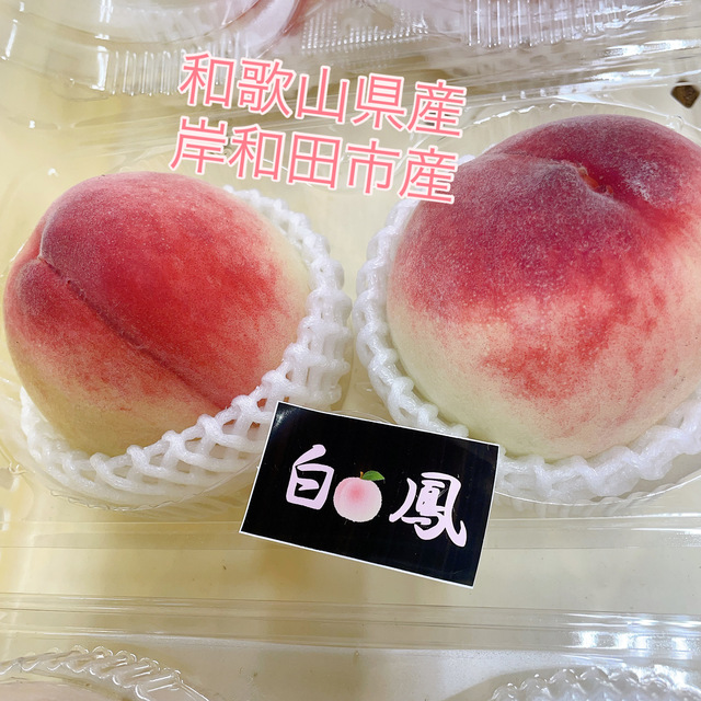 白鳳