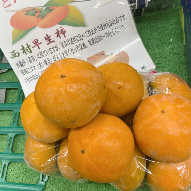 柿