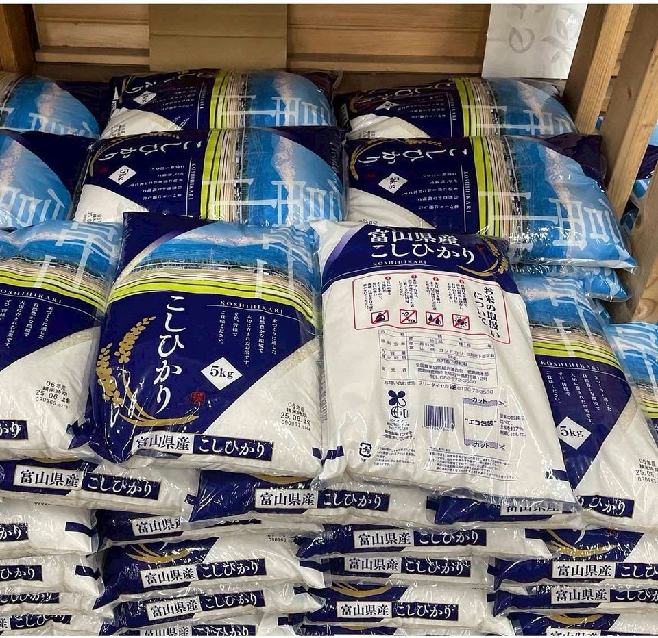 富山県産こしひかり入荷あります