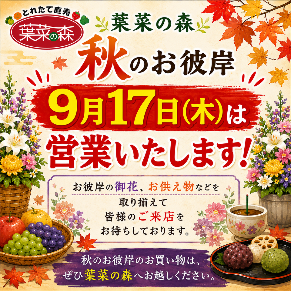 9/17営業いたします