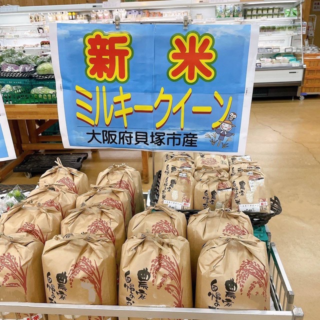 新米
